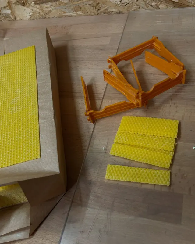 Als Imker musst du auch mal spontan sein 🙄 Allerdings ist spontan sein schwierig, wenn du sowas noch nie gemacht hast 🫠 Kürzlich standen völlig unerwartet zwei unbegattete Königinnen auf dem Tisch, die dann natürlich zum Begattungsflug raus wollten 👸 Also zwei Apidea (Begattungskästchen) geliehen, Mittelwände rein, Bienen aus anderen Völkern „geklaut“ und nach drei Tagen Kellerhaft raus in den neuen Stand 😵‍💫 Die Erfolgskontrolle steht noch aus 🤯 Vielen Dank an dieser Stelle an Mario Nolte für den Support aus der Ferne 🙏🏻 Hättet ihr das auch so gemacht oder wie hättet ihr reagiert?