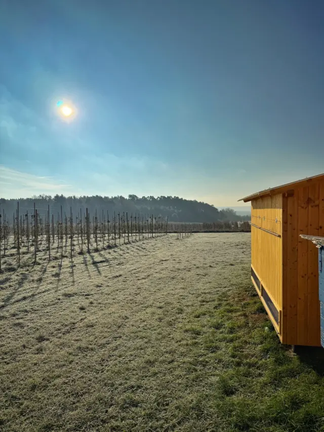 Der Winter ist da ❄️ Die Bienen sitzen hoffentlich zufrieden in ihrer Wintertraube und haben genügend Futtervorräte eingelagert 🐝 Jetzt nach dem ersten Frost geht der Imker davon aus, dass die Völker in spätestens 24 Tagen brutfrei sind, um dann die notwendige Winterbehandlung gegen die Varroamilbe durchführen zu können 💨 Wenn alles klappt, starten die Völker vermutlich Ende Januar wieder in die Brutphase 🍼 Bis dahin gibt es für die Imker einiges zu tun, damit der Saisonstart 2026 auch gelingt 🥳 #imker #honig #oberfranken #kleinsendelbach #natur #schnee #frost #kalt #winter #eckental
