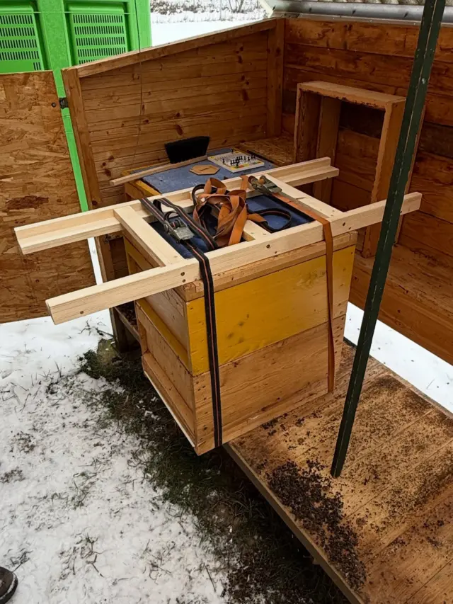 Jetzt war es endlich soweit 👆🏻 Wir haben die kalten Temperaturen der letzten Tage ausgenutzt um die Völker in den neuen Stand umzuziehen 🧳 Schön vorsichtig und behutsam mittels einer extra angefertigten Tragehilfe 🪚 Der alte Stand wird jetzt etwas hergerichtet und im Frühjahr dann an einem zusätzlichen Standplatz genutzt 🍒 #imker #bienen #winter #kleinsendelbach #umzug